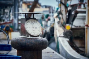 Fishing Port - Donggang