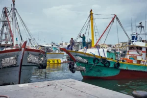 Fishing Port - Donggang