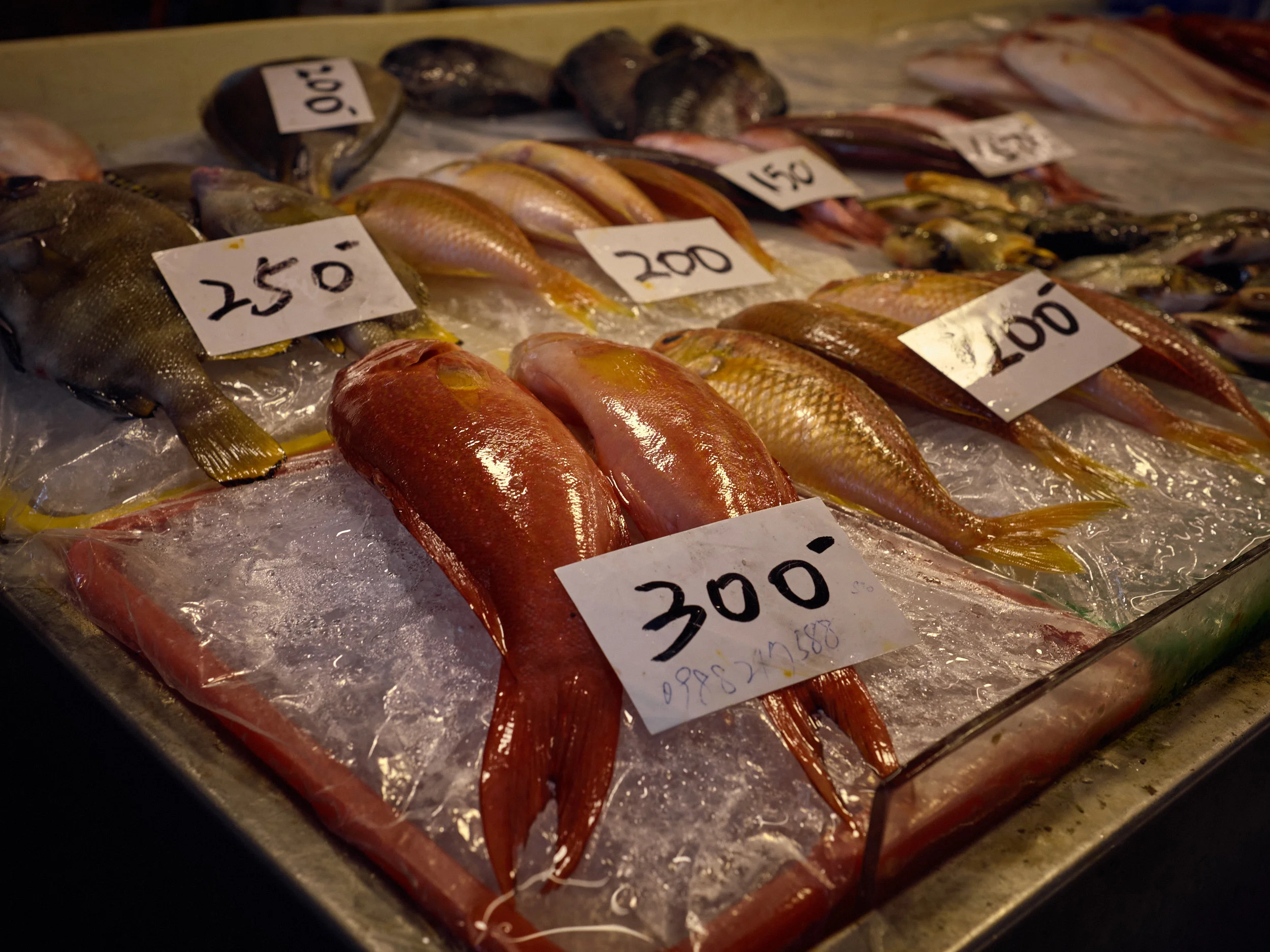 Fishmarket - Donggang