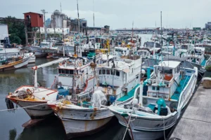 Fishing Port - Donggang