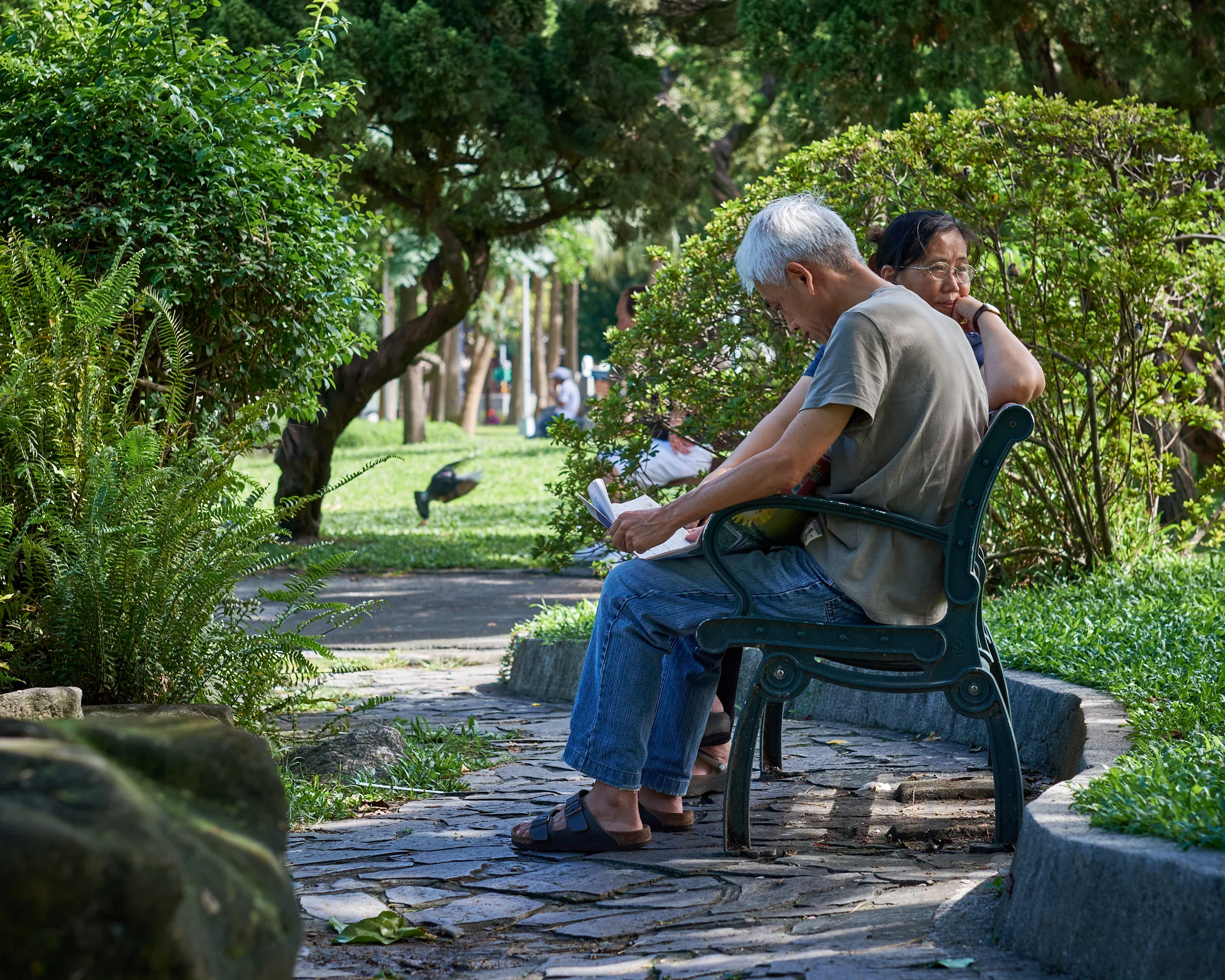 In the Park - Taipei
