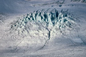 Glacier, Grimaldibukta